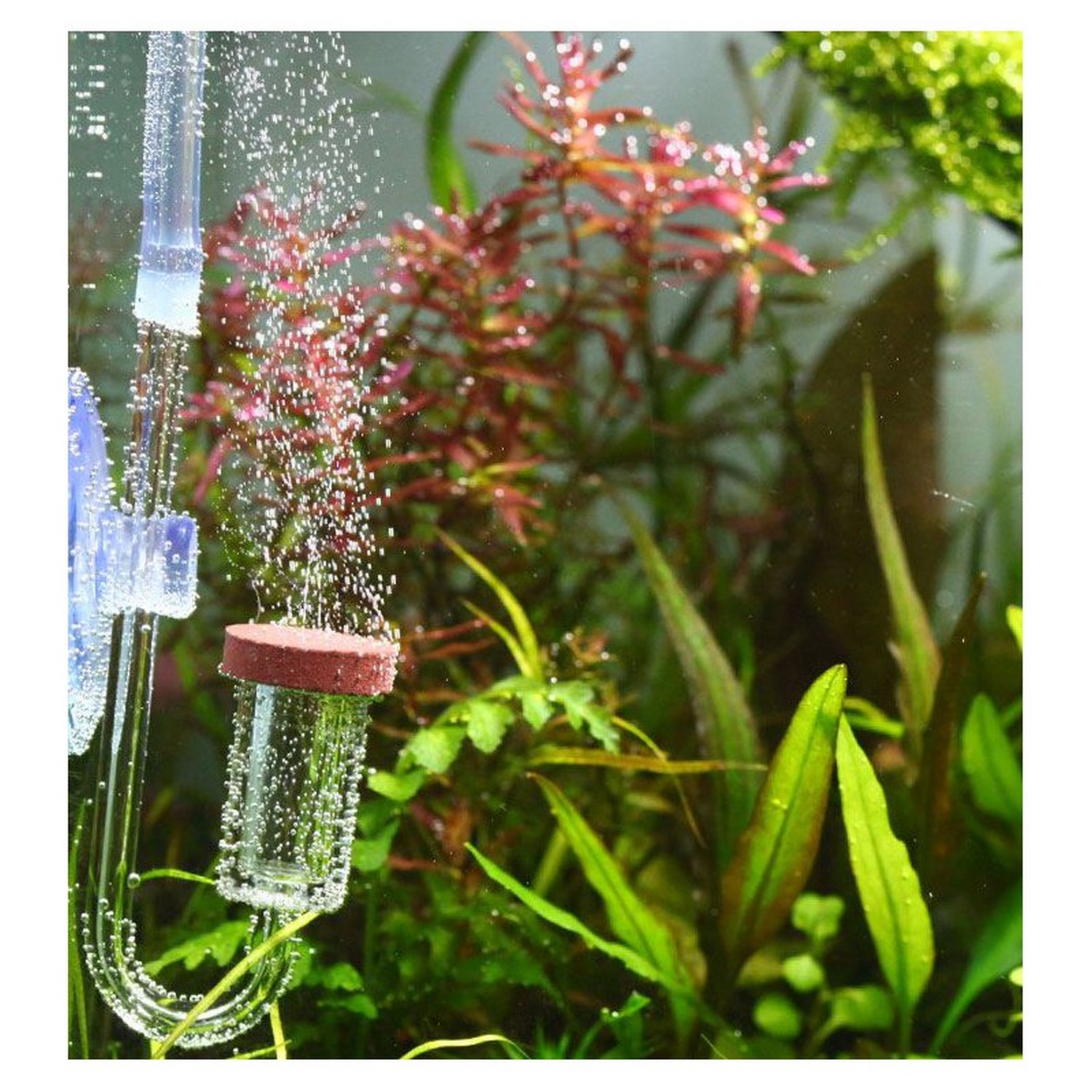 Комплект CO2 бражка Aquario Neo CO2 System (870247)