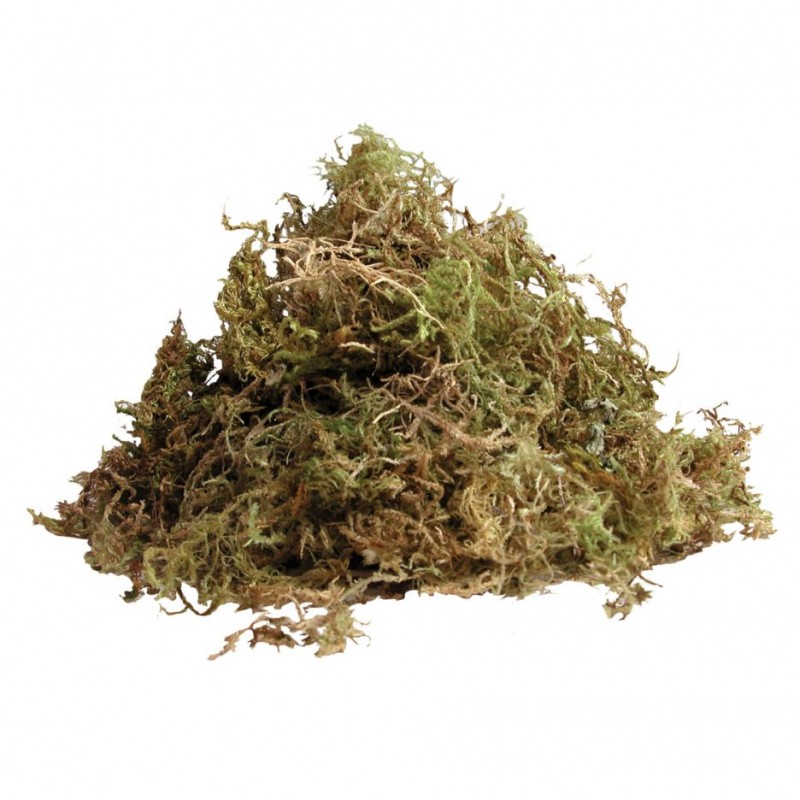 Живий мох Komodo Habitat Moss 1,5 л для тераріуму, амфібій та рептилій (83003)