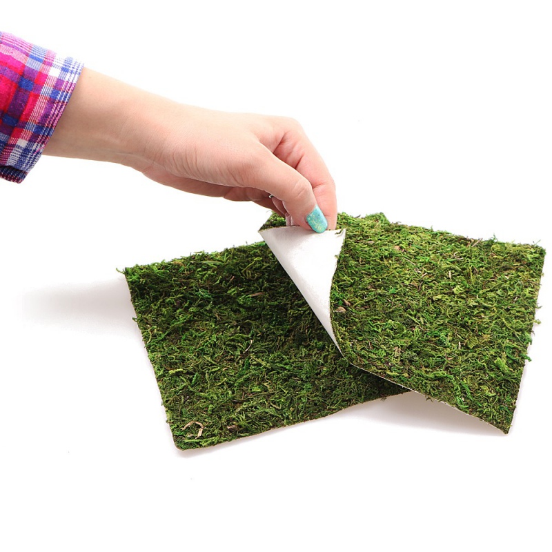 Фон з натурального моху Repti-Zoo Natural Moss Back & Bottom 20×20см 2 шт (NCM2020) для тераріуму