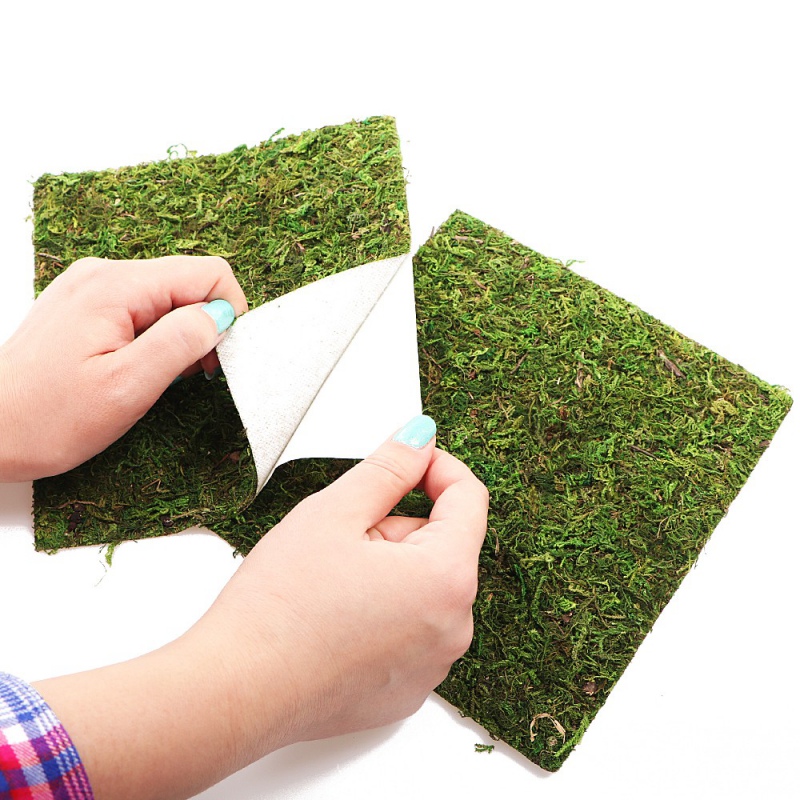 Фон з натурального моху Repti-Zoo Natural Moss Back & Bottom 30x30см 2 шт (NCM3030) для тераріуму