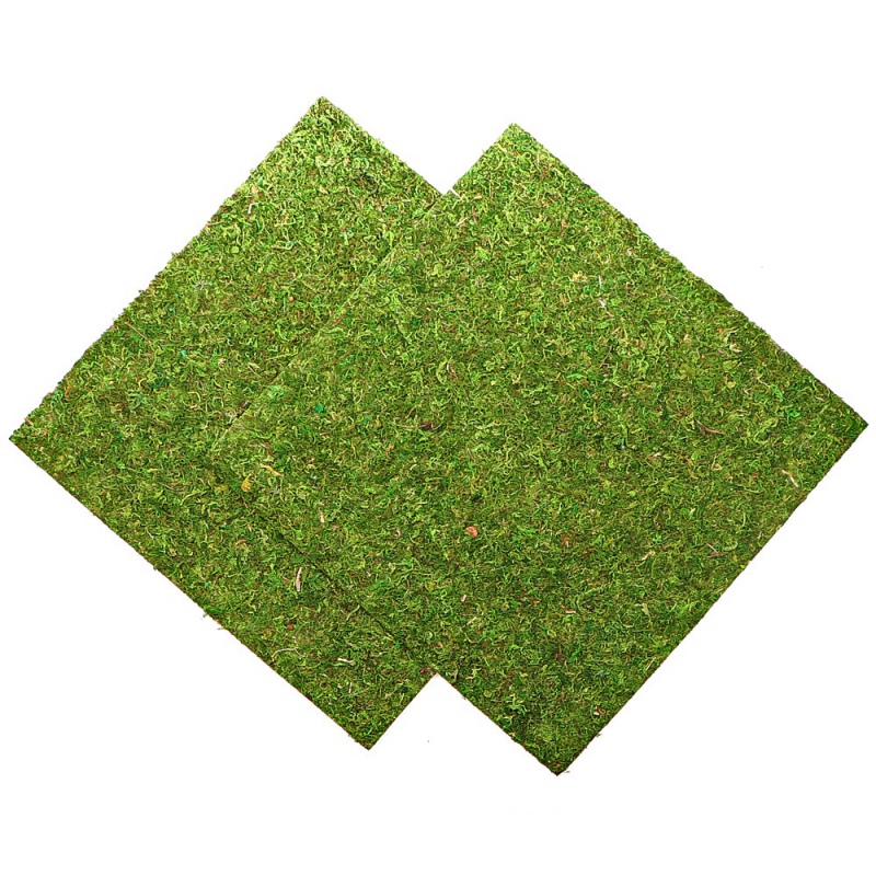 Фон з натурального моху Repti-Zoo Natural Moss Back & Bottom 45x45см 2 шт (NCM4545) для тераріуму