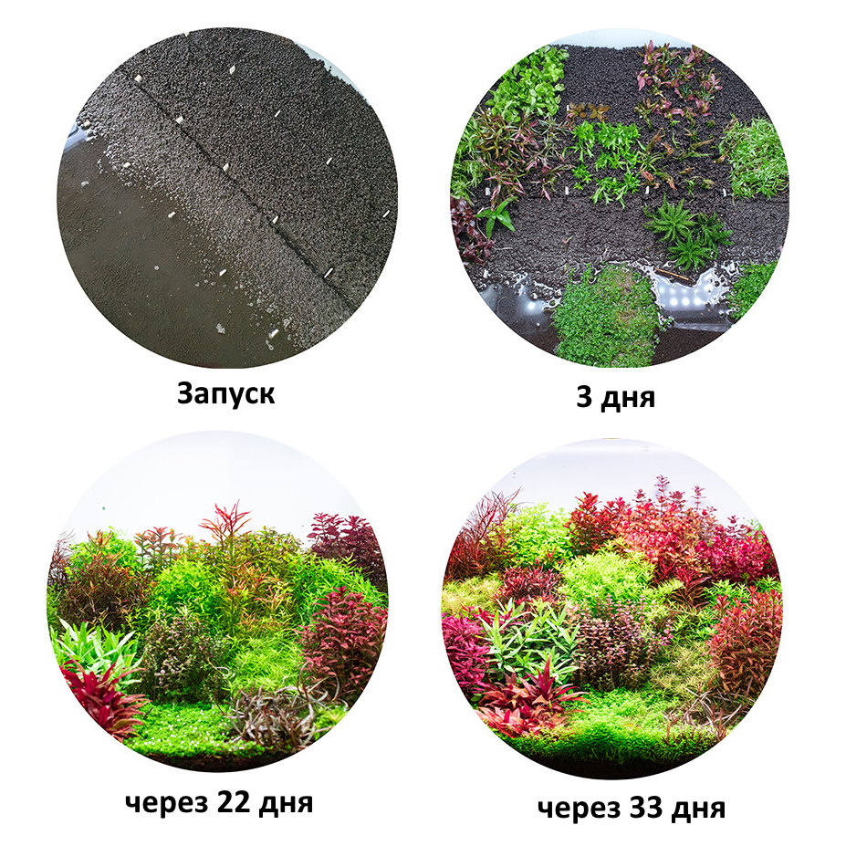 Грунт для акваріума Aquario Neo Soil Plant 3л (neo-soil-plant-3)