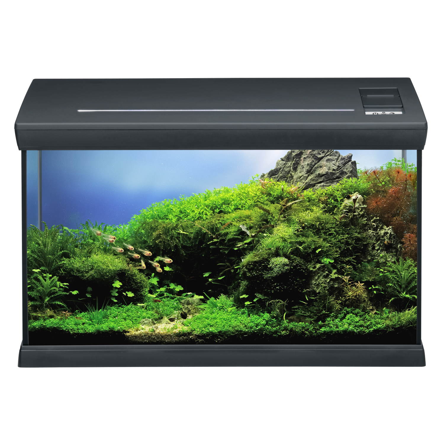 Аквариумный комплект черный Eheim aquaclass 66 (0340710)