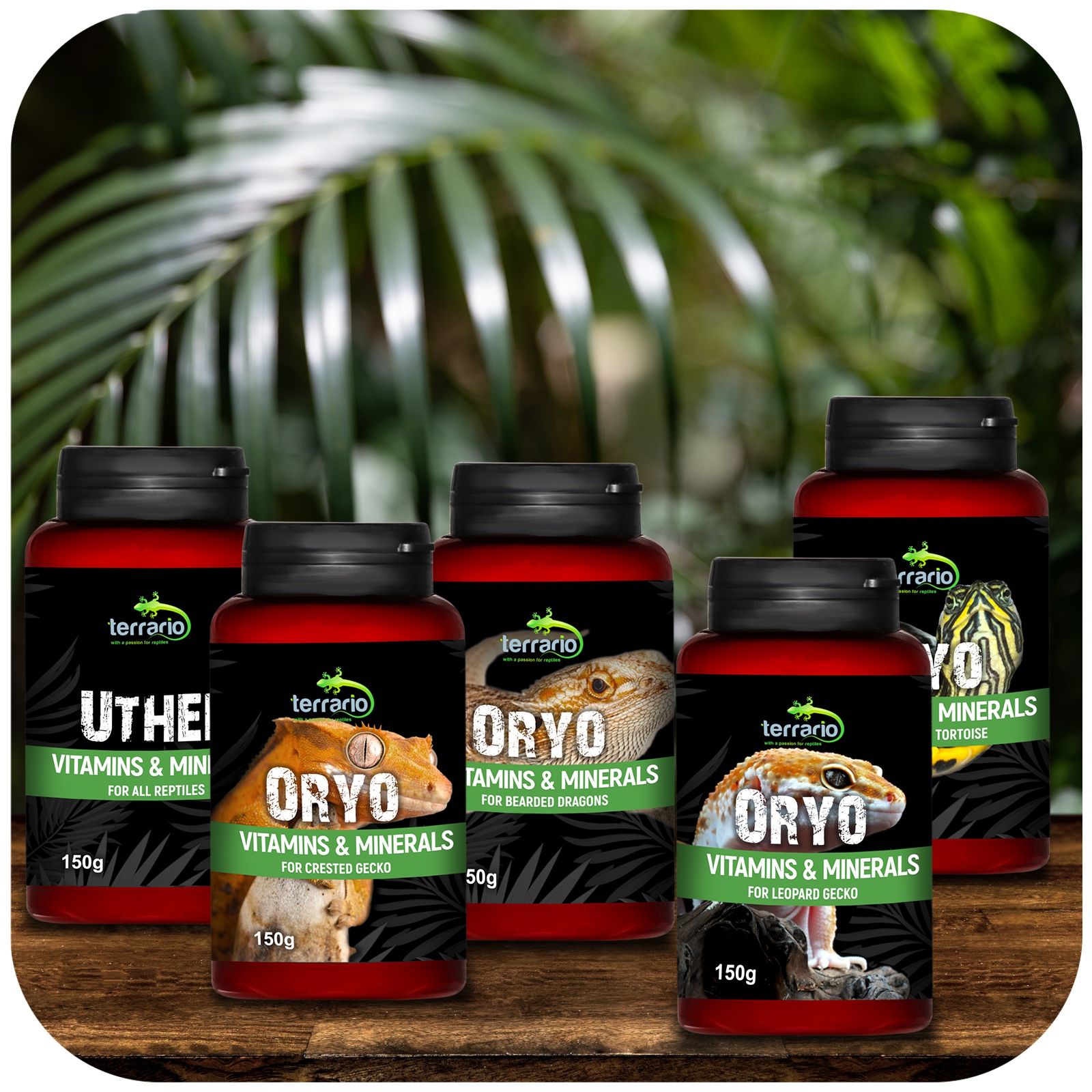 Вітаміни для бородатої агами Terrario ORYO for Bearded Dragons 150г.