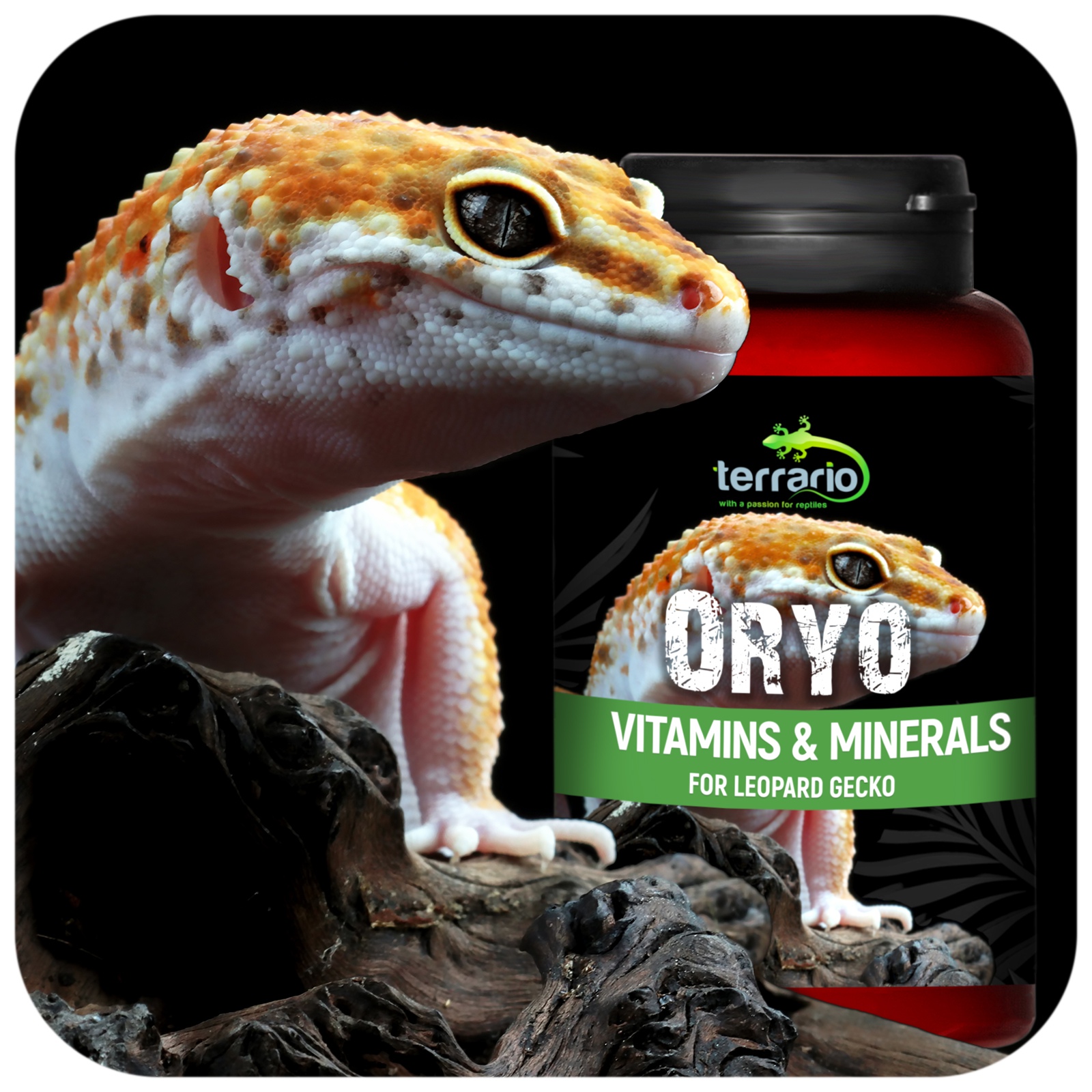 Вітаміни для леопардових геконів Terrario ORYO for Leopard Gecko 150г