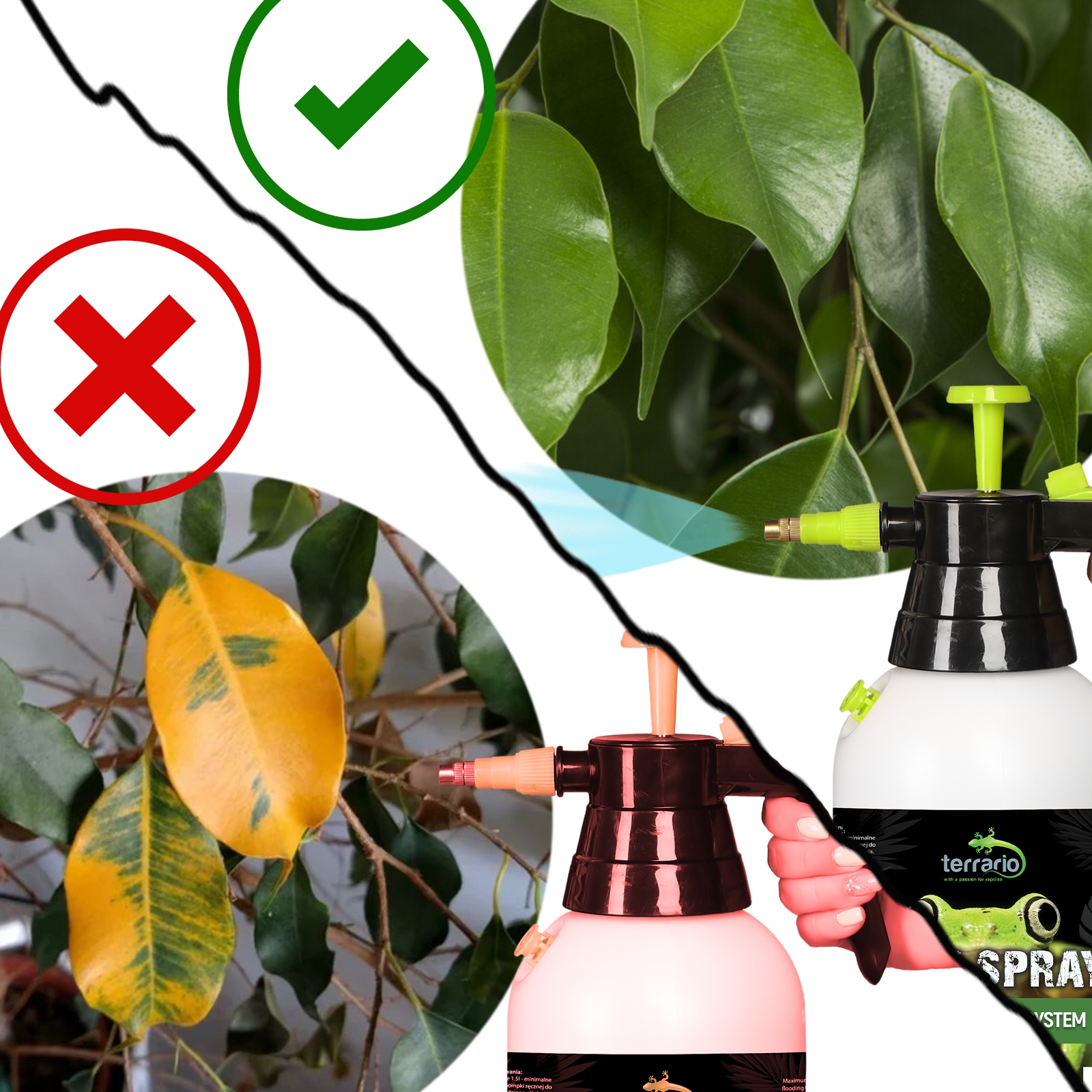 Обприскувач пневматичний Terrario Troppi Sprayer 1500мл