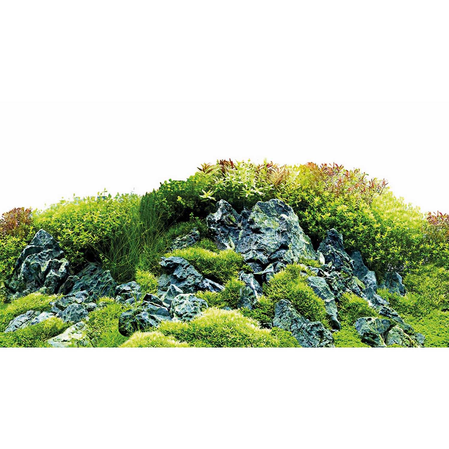 Задній фон Hobby Scaping Hill / Scaping Forest 60x30см (31030)