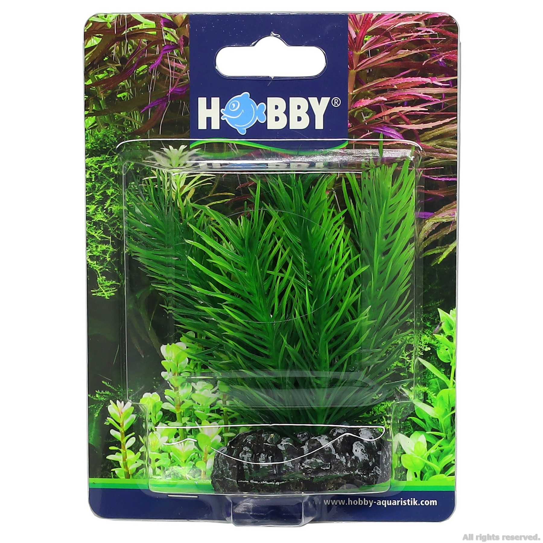 Штучна рослина Hobby Mayaca 7см (51584)