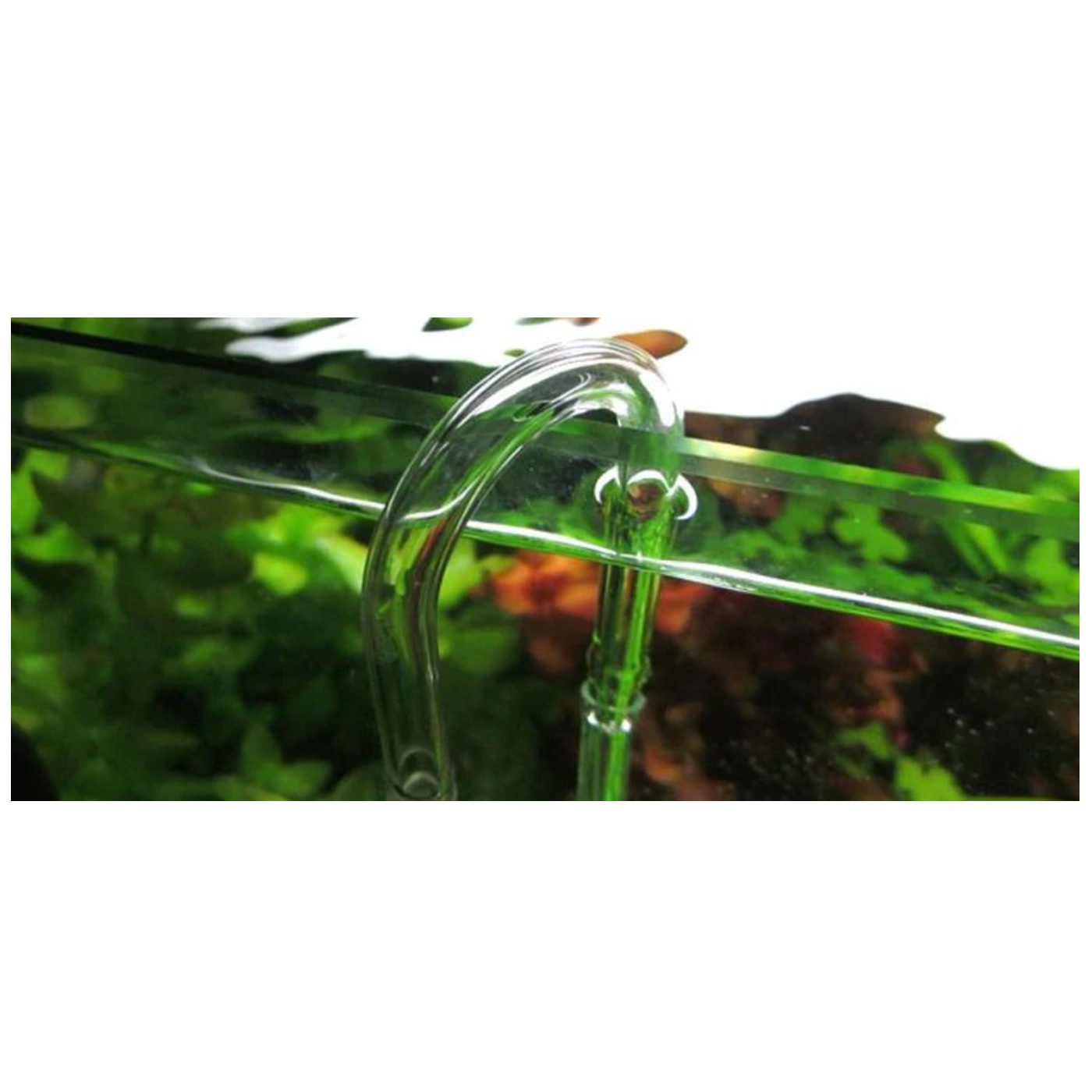 Розпилювам для компресора Aquario Neo Diffuser Special Air Green L + U Clip