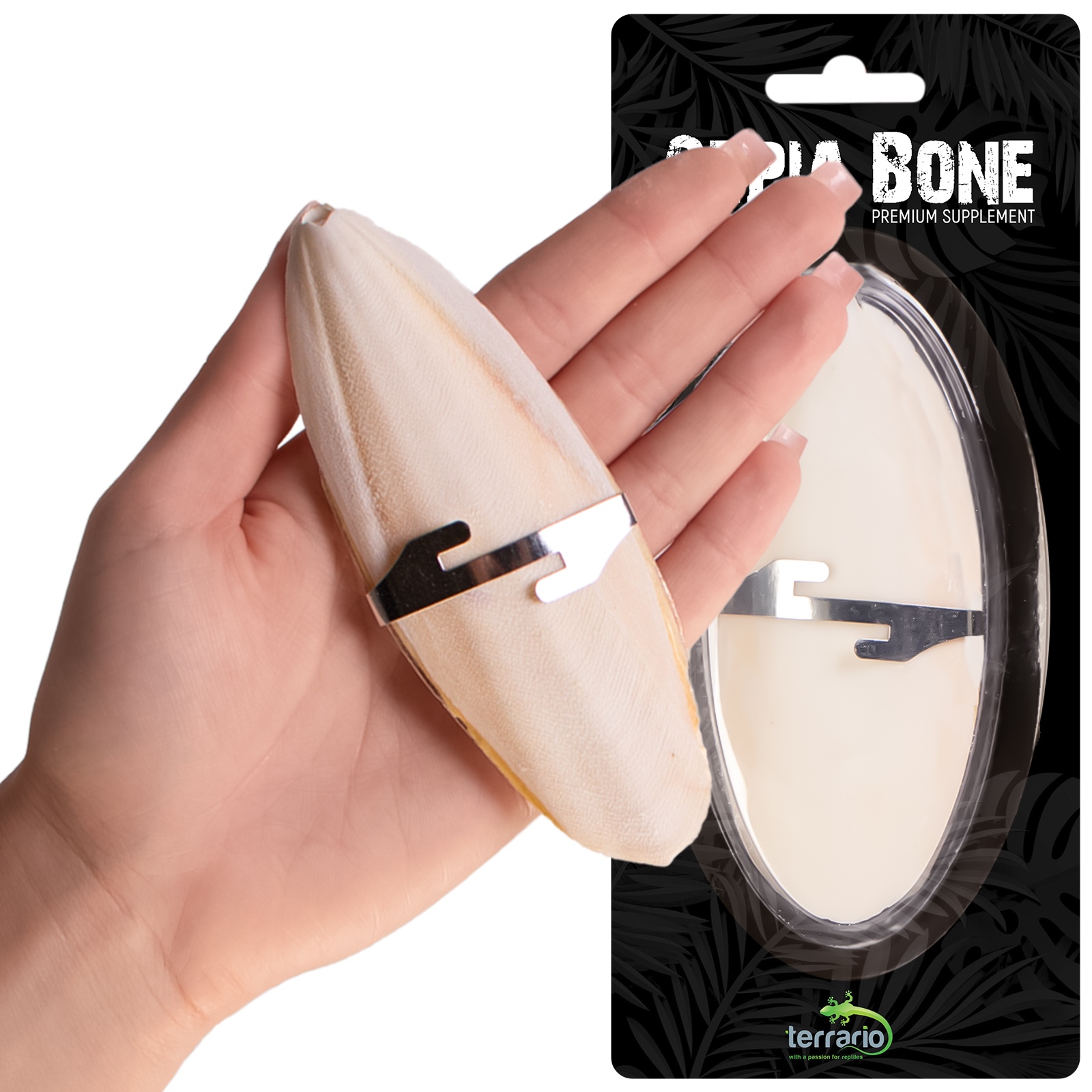 Сепія для черепах, природний вапняк для рептилій Terrario Sepia Bone 10-15см