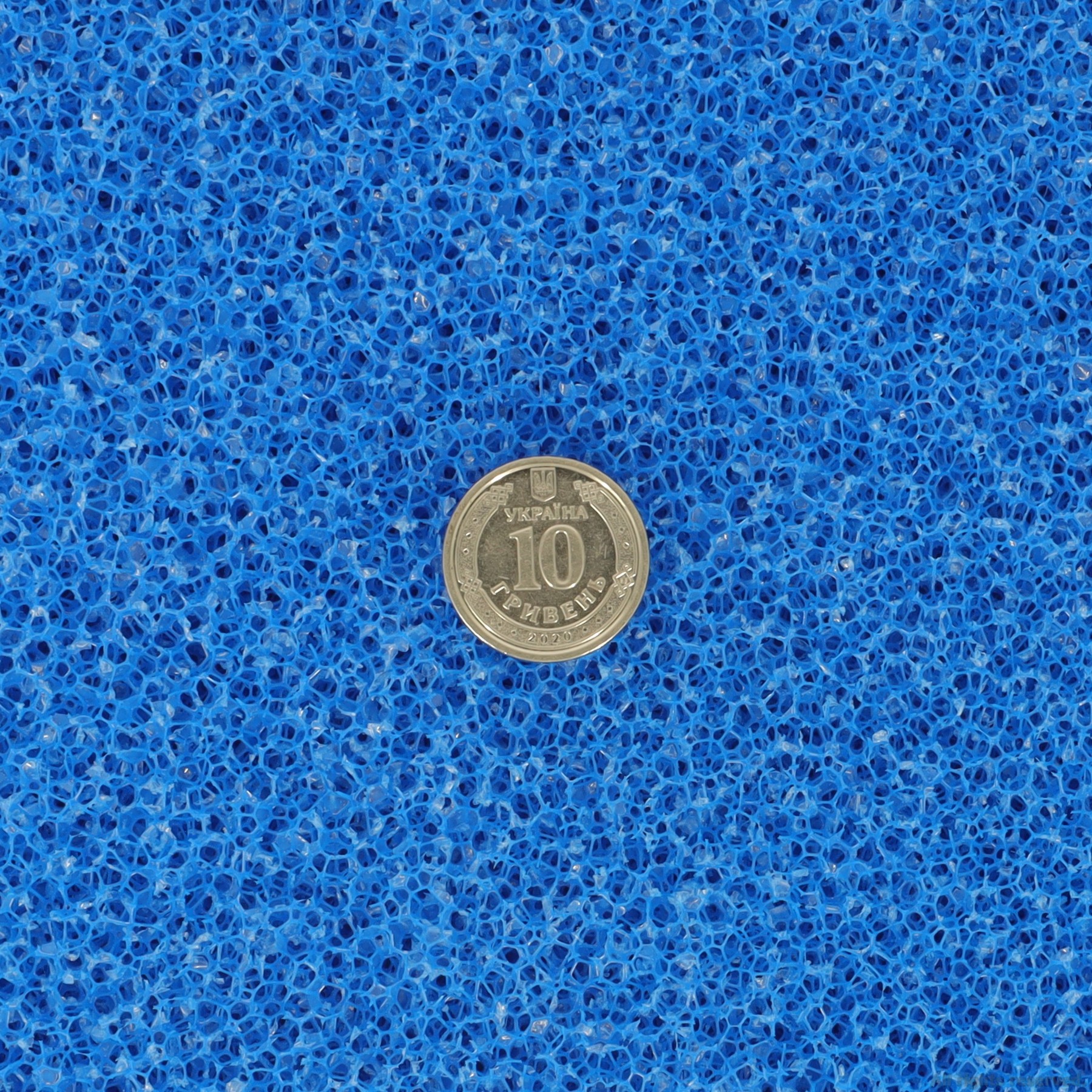 Фільтруюча губка грубої очистки Hobby Filter sponge blue ​50x50x5см ppi 10 (20480)