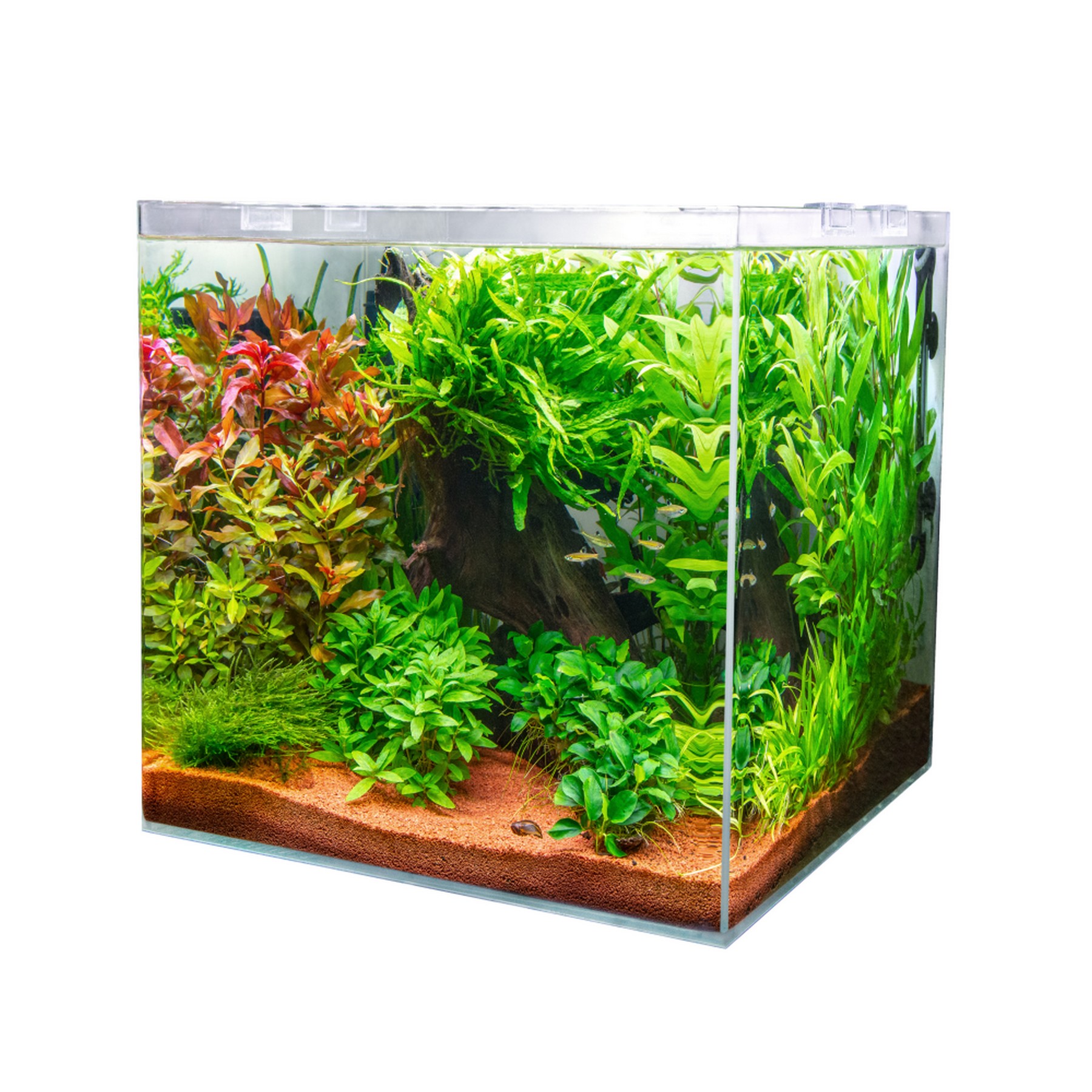 Акваріум з ультрабілого скла Dupla Scaping Cube 80 45x45x40см (80892)