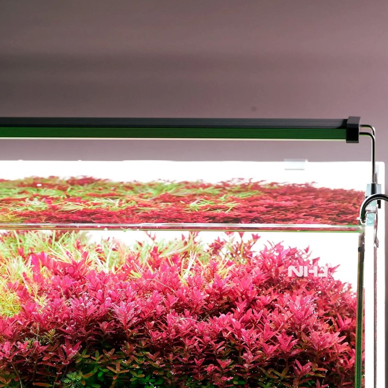 Світильник Chihiros B-Series B120 LED 120-140 см розумне RGB-освітлення для акваріума