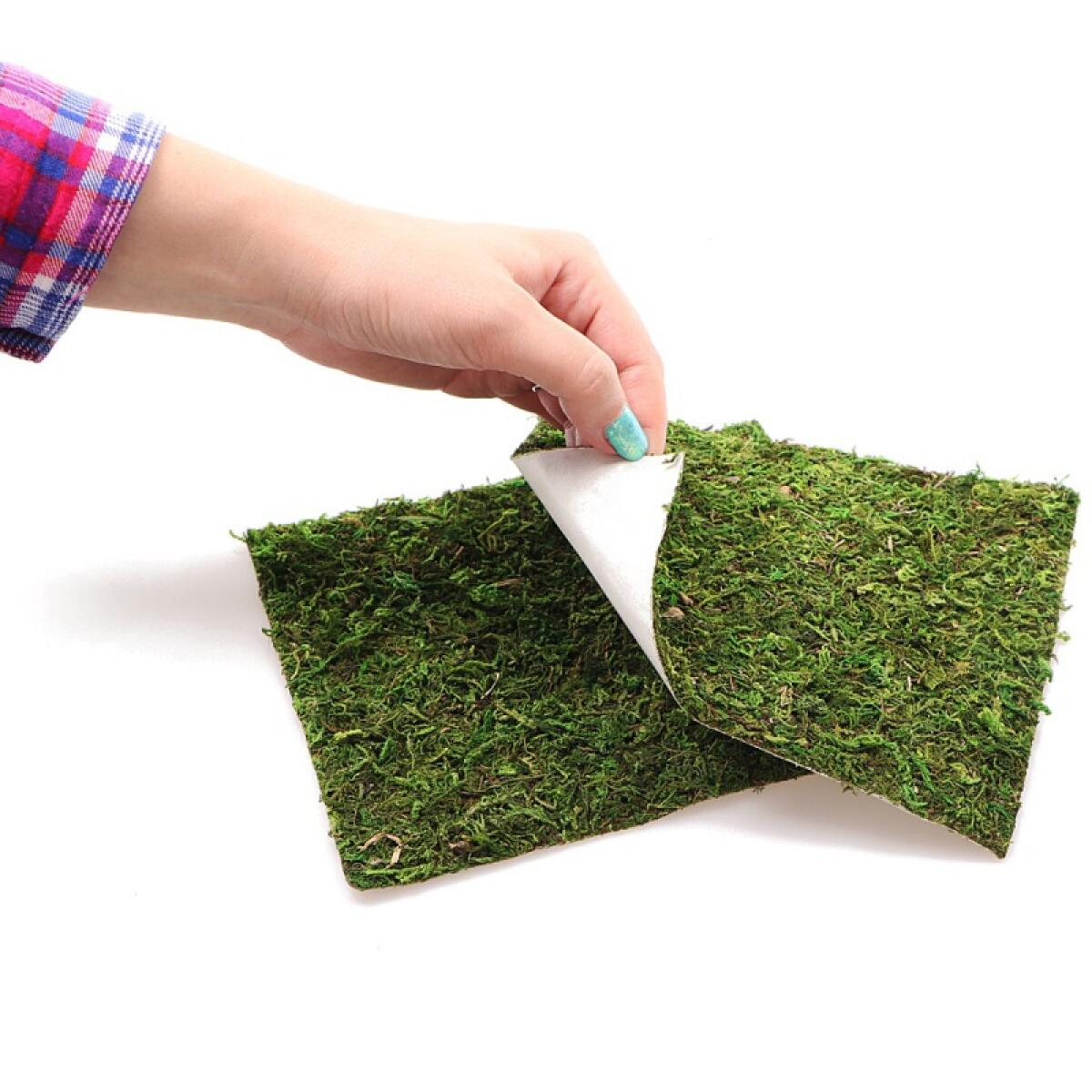 Фон з натурального моху Repti-Zoo Natural Moss Back & Bottom 45x45см 2 шт (NCM4545) для тераріуму