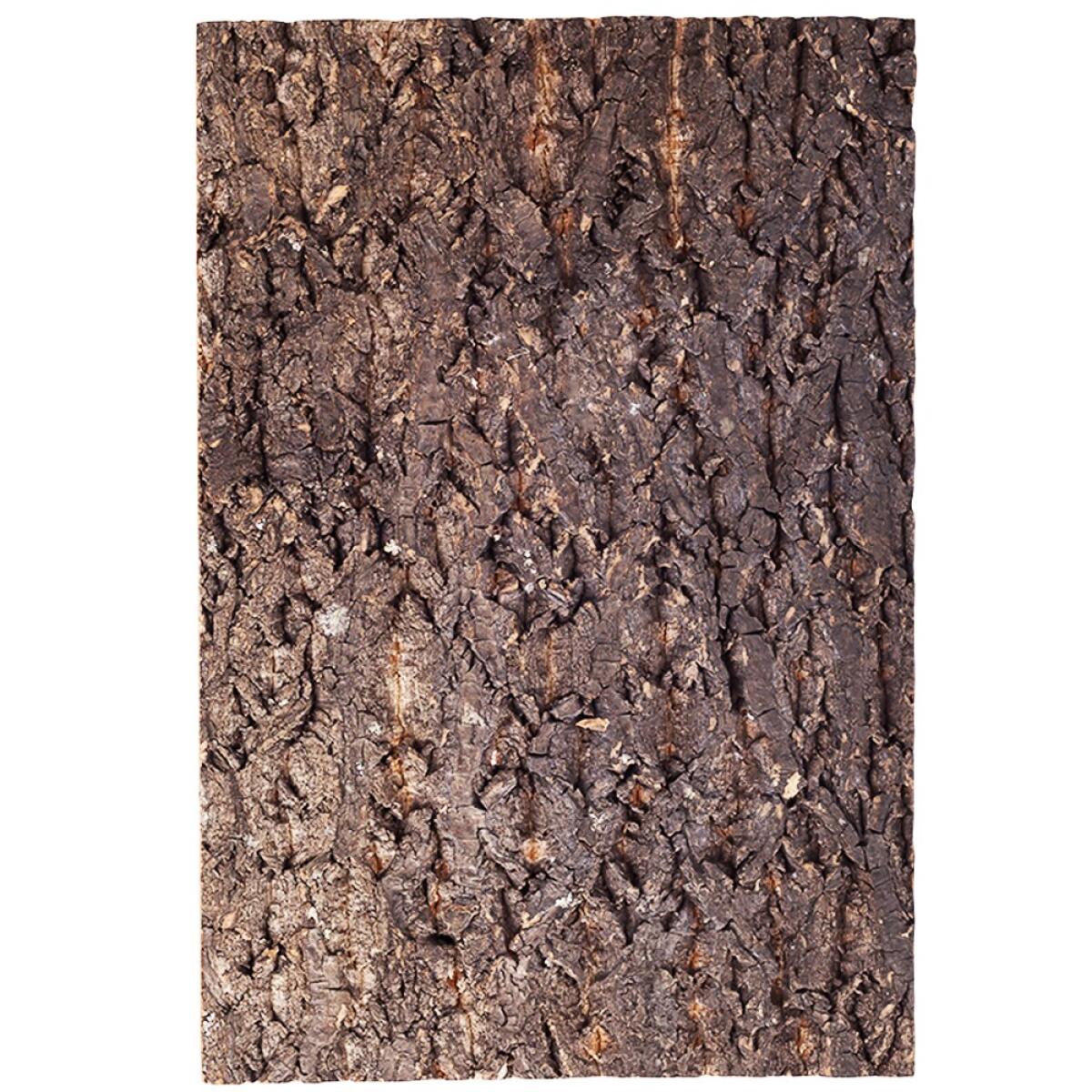 Фон з кори Repti-Zoo Big Tree Background 20×30 см (NCT13) для тераріуму
