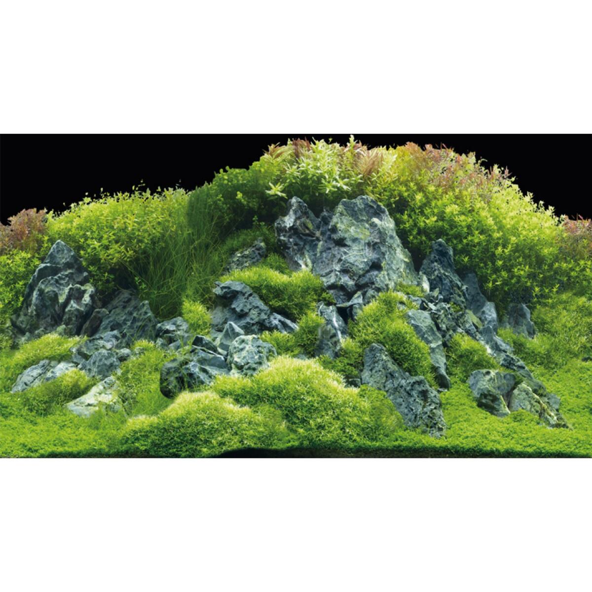 Задній фон Hobby Planted River/Green Rocks 60x30см (31043)