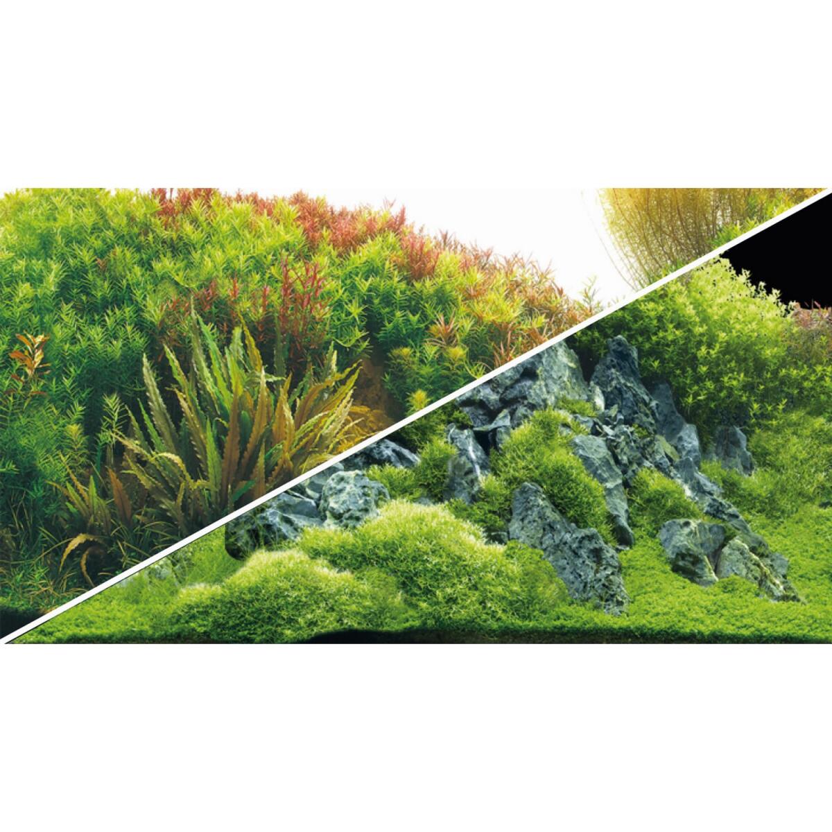Задній фон Hobby Planted River/Green Rocks 120x50см (31045)
