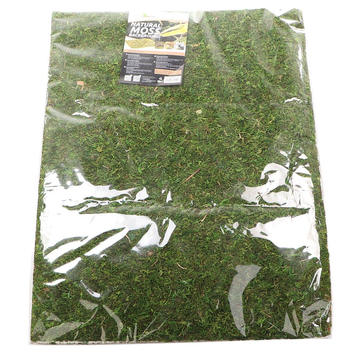 Фон з натурального моху Repti-Zoo Natural Moss Back & Bottom 50x25см 2 шт (NCM5025) для тераріуму