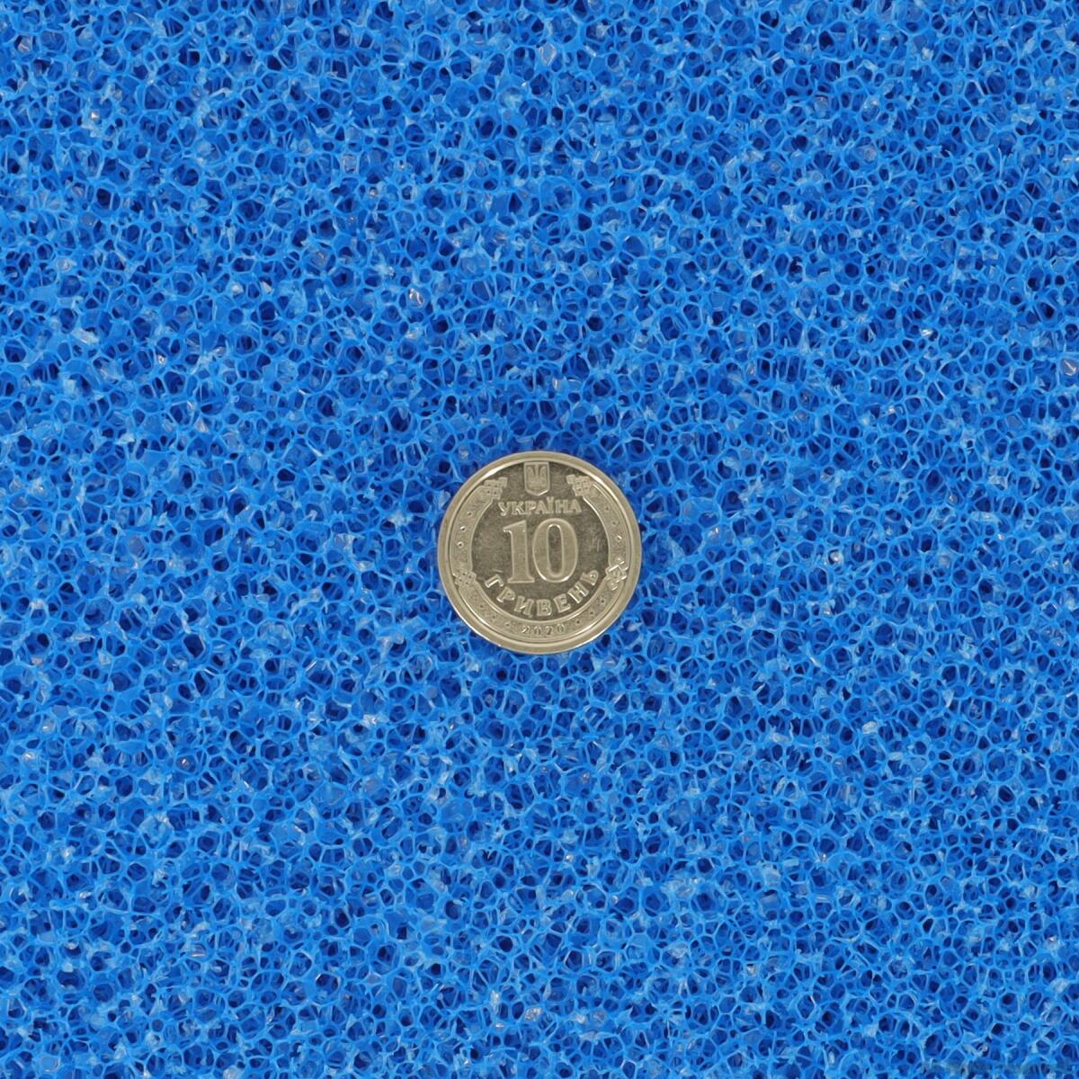 Фільтруюча губка грубої очистки Hobby Filter sponge blue ​50x50x10см ppi 10 (20485)
