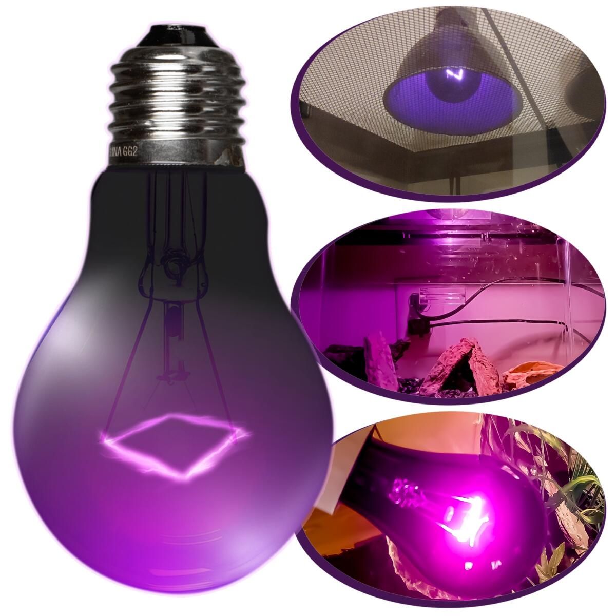 Нічна лампа з підігрівом Repti-Zoo Night Heat Bulb 50W для тераріумів без UVA (MHL50)