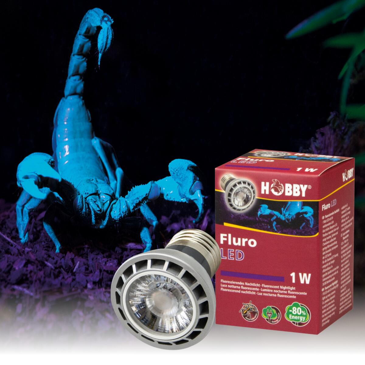 Ультрафіолетова лампа LED для тераріумів Hobby Fluro LED 1 W (37600)