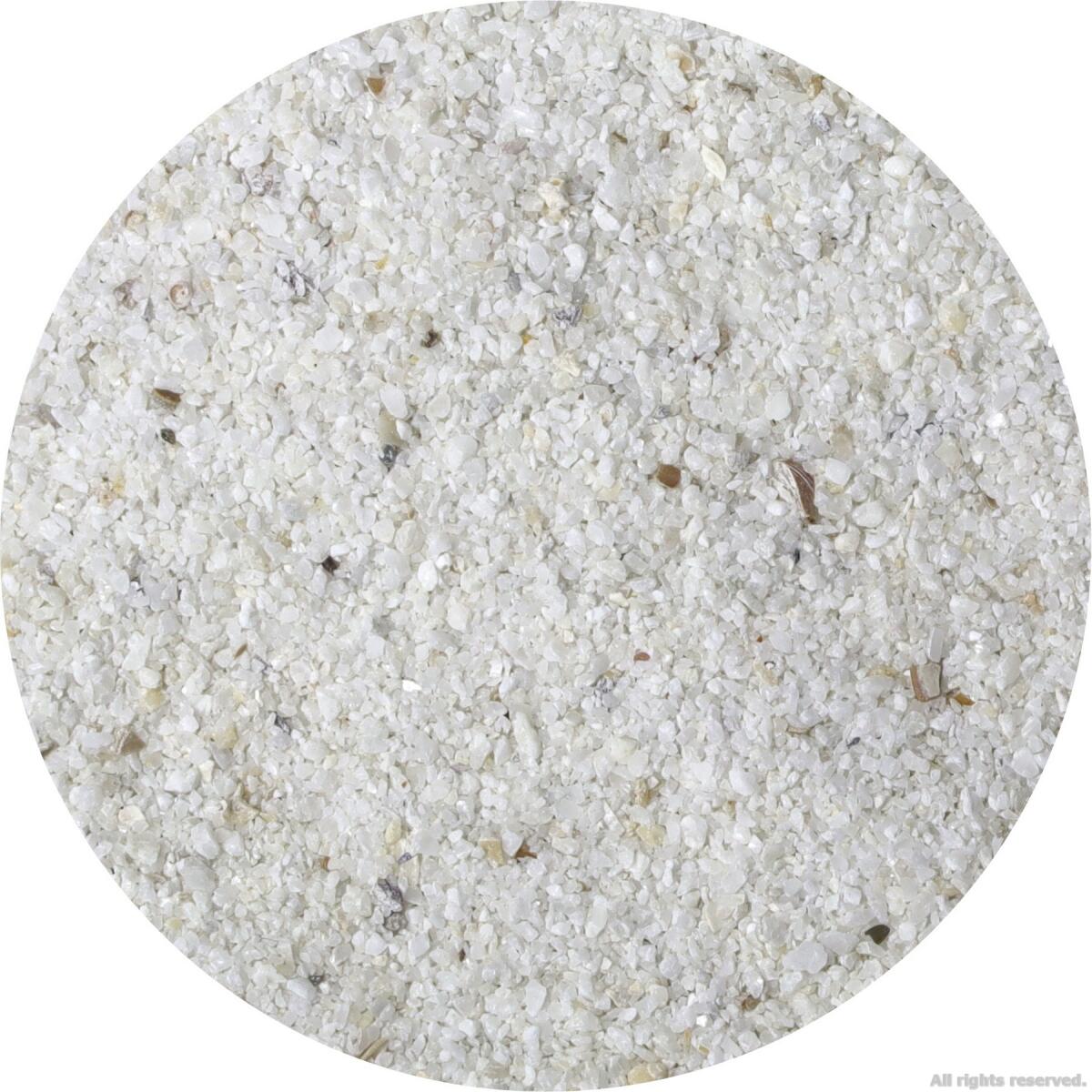 Живий пісок для морського акваріуму Aquaforest AF Bio Sand 10кг 0.5-1.5мм