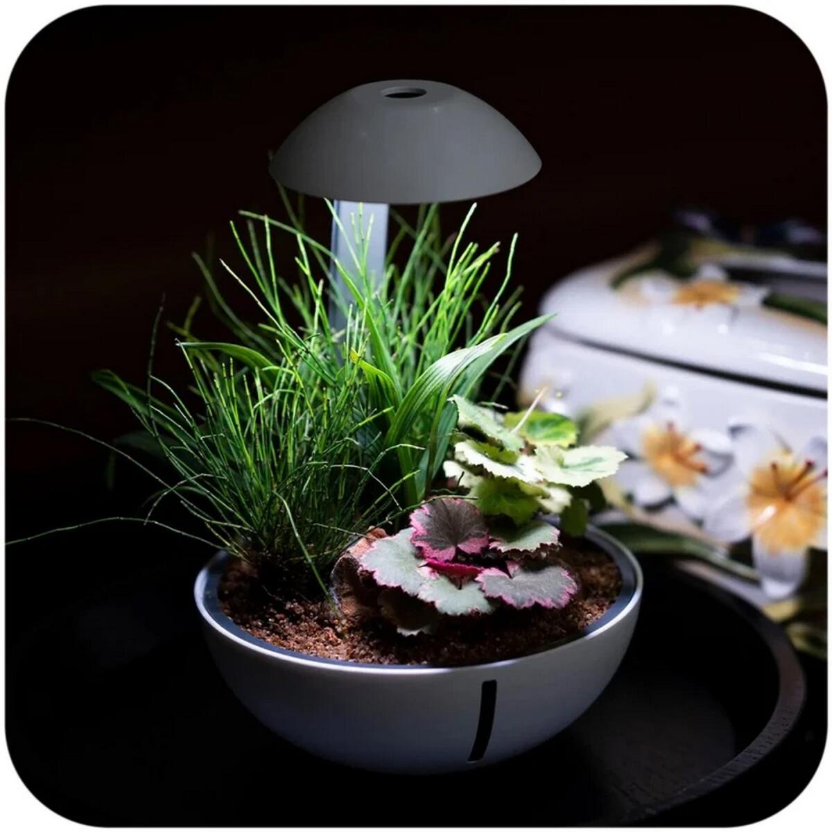 Мінітераріум Chihiros Tiny Terrarium Egg з LED-підсвіткою та керуванням через застосунок