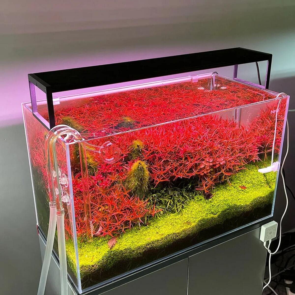Світильник Chihiros WRGB SLIM 120 II LED Bluetooth 90W для акваріумів 120-140 см