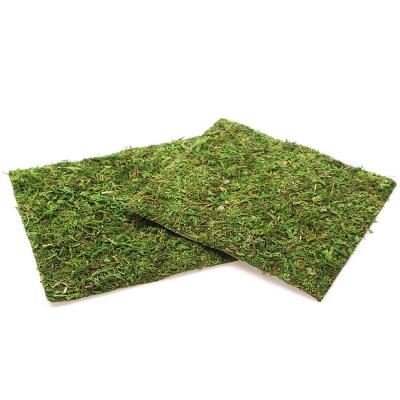 Фон з натурального моху Repti-Zoo Natural Moss Back & Bottom 20×20см 2 шт (NCM2020) для тераріуму