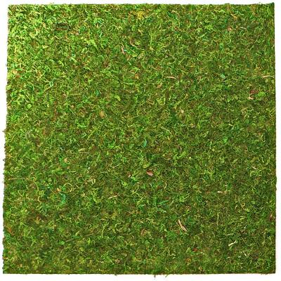 Фон з натурального моху Repti-Zoo Natural Moss Back & Bottom 30x30см 2 шт (NCM3030) для тераріуму