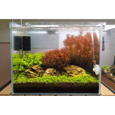 Грунт для акваріума Aquario Neo Soil Plant 8л (neo-soil-plant-8)