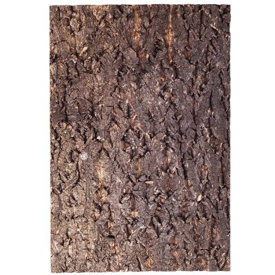 Фон з кори Repti-Zoo Big Tree Background 30x45 см (NCT02) для тераріуму