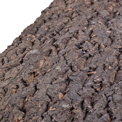 Фон з кори Repti-Zoo Big Tree Background 45x60 см (NCT05) для тераріуму
