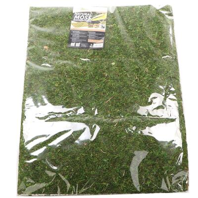 Фон з натурального моху Repti-Zoo Natural Moss Back & Bottom 50x25см 2 шт (NCM5025) для тераріуму
