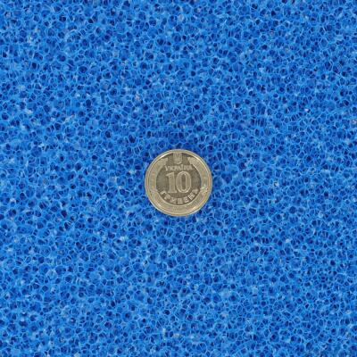 Фільтруюча губка грубої очистки Hobby Filter sponge blue ​50x50x3см ppi 10 (20475)
