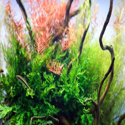 Калий в таблетках Aquario Neo Tabs Plant K