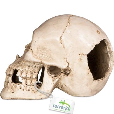 Декорація череп людини Terrario Human Skull XL 15x10x9см (161012)
