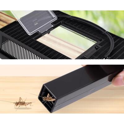 Контейнер для цвіркунів Repti-Zoo Crickets Keeper, з трубками для годування, вентиляцією та мисками, 19×11×15 см