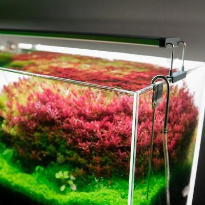 Светильник Chihiros B-Series B30 LED 30-50см разумное RGB-освещение для аквариума