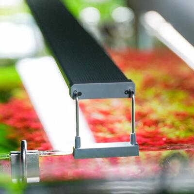 Светильник Chihiros B-Series B20 LED 20-30см разумное RGB-освещение для аквариума