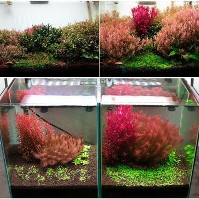 Грунт активный для аквариума Neo Soil Plant No CO2 8л. - без потребности в CO₂