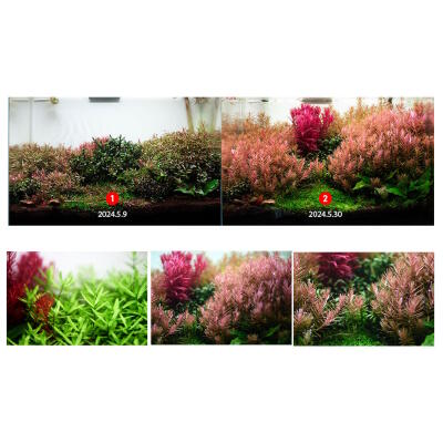 Удобрение для аквариумных растений Neo Fluid NoCO2 1 л без подачи CO₂ с микро- и макроэлементами