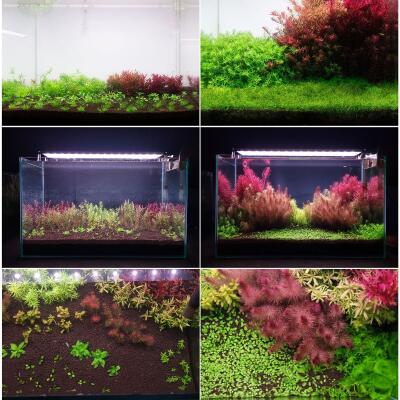 Удобрение для аквариумных растений Neo Fluid NoCO2 1 л без подачи CO₂ с микро- и макроэлементами