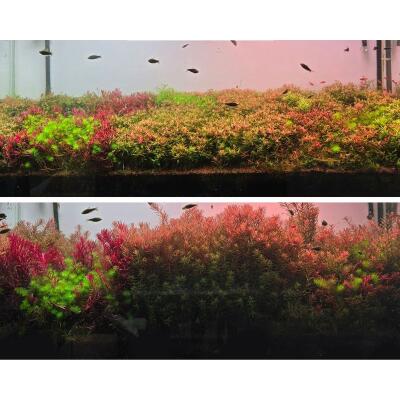 Удобрение для аквариумных растений Neo Fluid NoCO2 1 л без подачи CO₂ с микро- и макроэлементами