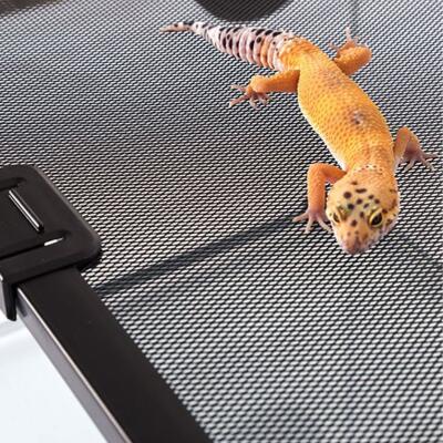 Тераріум Repti-Zoo RAK 50x30x35см (RAK05)