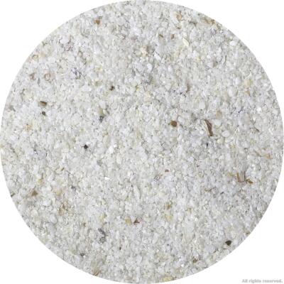 Живий пісок для морського акваріуму Aquaforest AF Bio Sand 10кг 0,5-1,5мм