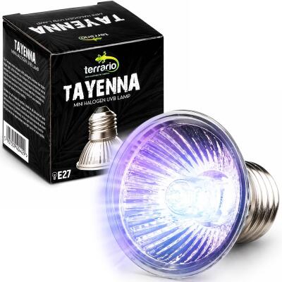 Лампа для тераріуму Terrario Tayenna 25W UVB 3.0 E27 для тропічних рептилій та амфібій