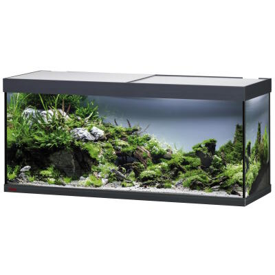 Аквариум Eheim vivaline LED 240 1x16.3W (LED) антрацитовый без тумбы (0613079)